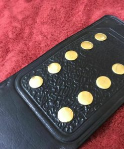 Alternative view of WWF Big Gold Championship Belt