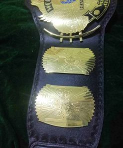 Alternative view of Classic Gold Winged Eagle Championship Belt