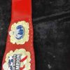 IWGP UNITED STATES Championship Belt Adult Size Belt 4MM Dual Plated replica - Image 3