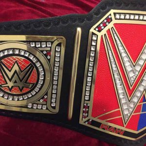 Alternative view of WWE Raw vs Smackdown Championship Belt
