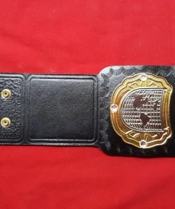 Alternative view of TNA Heavyweight Wrestling Championship Belt Adult Size / TNA Wrestling Belt